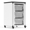 Luxor Modular Classroom Storage Cabinet 18.25x18.25x29 in Aluminum Build Rolling Casters Locking Design