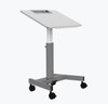 Luxor Mobile Height Adjustable Tilting Student Standing Desk With Cup and Pencil Holder, 27.5" W x 21.5" D x
