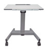 Luxor Mobile Height Adjustable Tilting Student Standing Desk With Cup and Pencil Holder, 27.5" W x 21.5" D x
