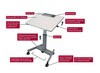 Luxor Mobile Height Adjustable Tilting Student Standing Desk With Cup and Pencil Holder, 27.5" W x 21.5" D x