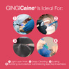 Gingi-Pak Gingicaine Anesthetic Gel in Syringe Kit, 20% Benzocaine, 20 Syringes with 40 Micro Dispensing Tips