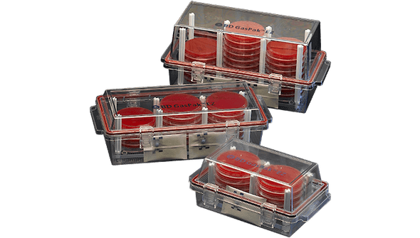 BD GasPak EZ CO2 Container System Sachets – Water-Free, Catalyst-Free CO2 Kit for BD Containers, 20/Pack
