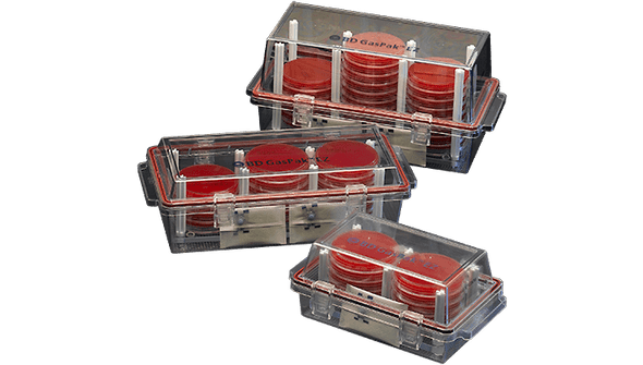 BD GasPak EZ Small Incubation Container – Nonbreakable, Chemical-Resistant Anaerobic Jar, 18 Capacity