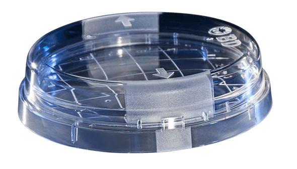 BD BBL Pseudosel Agar (Cetrimide Agar) Plate – Prepared Culture Media, 10pk, 98-Day Shelf Life