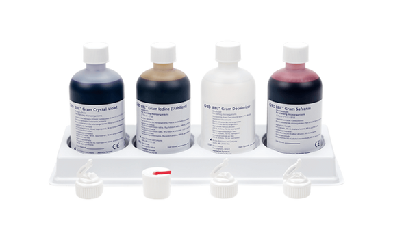 BD BBL Gram Stain Kit – ISO 9000 Manufacturing, Artifact-Reducing Process, Shelfpack 1 Each