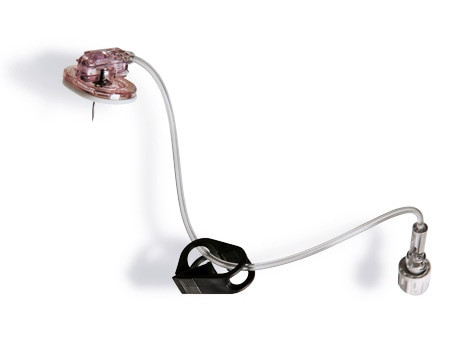 BD Safestep Huber Needle Set with Y-Injection Site and Medegen Needleless Injection Cap – 22 g X 0.5 in