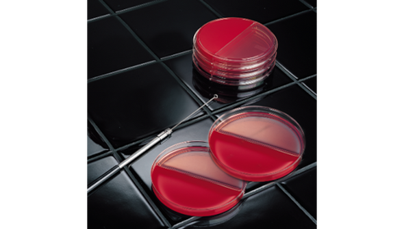 BD BBL Columbia CNA Agar with 5% Sheep Blood and Macconkey II Agar Bi-Plate – 100 Pack, 98-Day Shelf Life