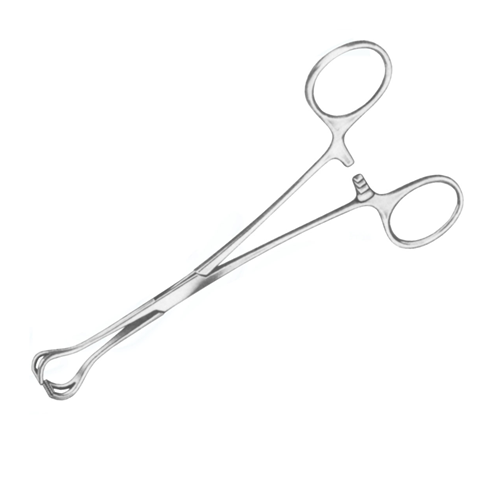 Dukal Aspen Babcock Intestinal Forceps – Atraumatic Parallel Serrations, 6 1/4 in Length, Reusable, Latex-Free