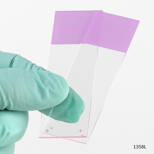 Globe Microscope Slides – Diamond White Glass, 25 X 75mm, Charged, 90° Ground Edges, Lilac Frosted