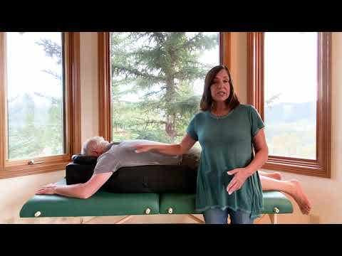 Earthlite Pregnancy and Prone Cushion with Headrest - Full-Body Pregnancy Support Cushion in Two Colors