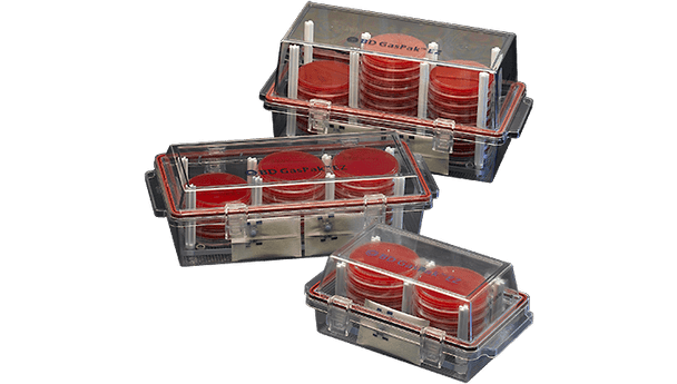 BD GasPak EZ CO2 Container System Sachets – Water-Free, Catalyst-Free CO2 Kit for BD Containers, 20/Pack