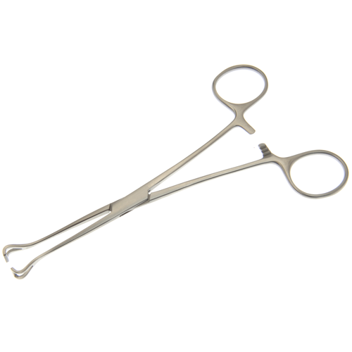 Dukal Babcock Tissue Forceps – 6 1/4 in Length, Reusable, Latex-Free, Surgical Instrument, Stainless Steel