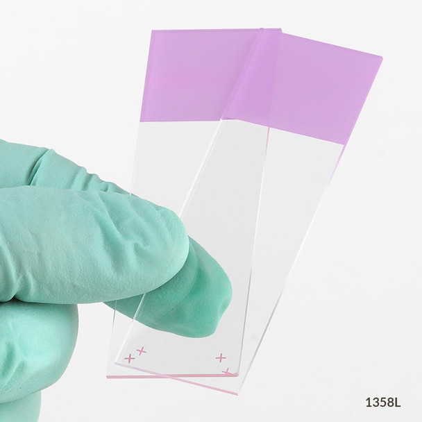 Globe Microscope Slides – Diamond White Glass, 25 X 75mm, Charged, 90° Ground Edges, Lilac Frosted