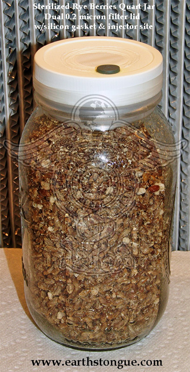 6 PINT Mushroom Jars READY ALL N 1 Sterilized Substrate Grain Grow Fast  SHIP [A]