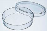Plastic Petri Dishes Sleeve of 20