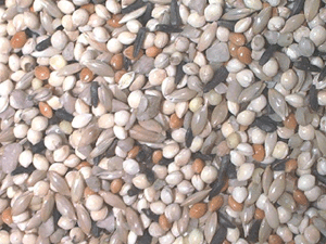 Finch Seed Mix
