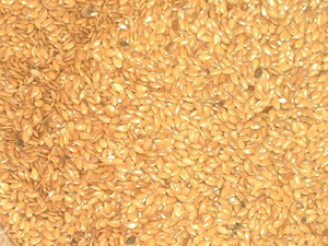 Organic Golden Flax