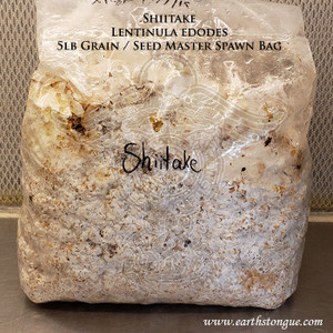 Shiitake Lentinula edodes Master Grain Seed Spawn Wide Weather Range