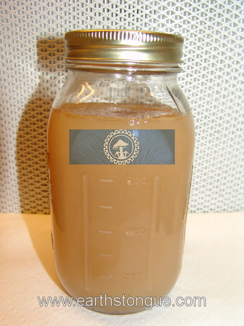 Earth's Tongue ™️ Sterile Malt Extract Agar Media with Antibiotics