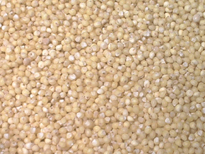 Organic Millet