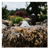 Water bubbling over decorative rock feature in a garden pond. Water bubbling over decorative rock feature in a garden pond.