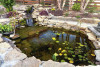 Pond installation with 45 mil EPDM liner 15' x 50' adapted to irregular shape
