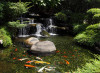 Pond view revealing the tough, weatherproof design Pond view revealing the tough, weatherproof design