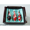Set of three magnetic koi replicas (Showa, Sanke, Kohaku) displayed in a presentation box with a teal interior and brown frame.