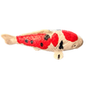 Koi Replica - Magnets
