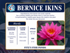 Hardy Lily - BERNICE IKINS