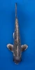 34cm Japanese Imported Ginrin Ginga - QT1-38