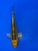17cm Japanese Imported Yellow Dragon - Aokiya - QT9 - 110