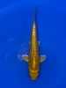 17cm Japanese Imported Aragoke Yellow Dragon - Aokiya - QT9 - 101