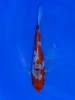 17cm Japanese Imported Doitsu Goshiki - Aokiya - QT9 - 100