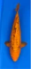 48cm Japanese Imported Dragon Monkey - Dainichi - ICF2 - 26