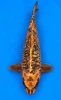 51cm Japanese Imported Aragoke - Marusen Kobayashi - A1 - 49