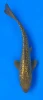 29cm Japanese Imported Koi Ginrin Chagoi - Marusei - QT5 - 25