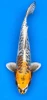 44cm Japanese Imported Yellow Dragon - Ikarashi Ozumi - A1 - 44