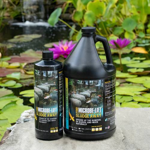 MICROBE-LIFT Liquid Sludge Away 32 oz