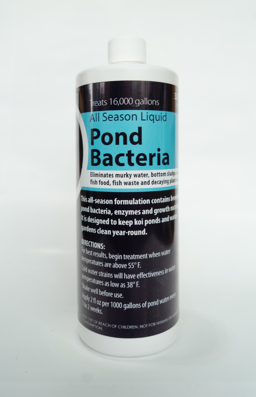 Pond Potions Liquid All-Season Pond Bacteria 16 and 32 fl oz