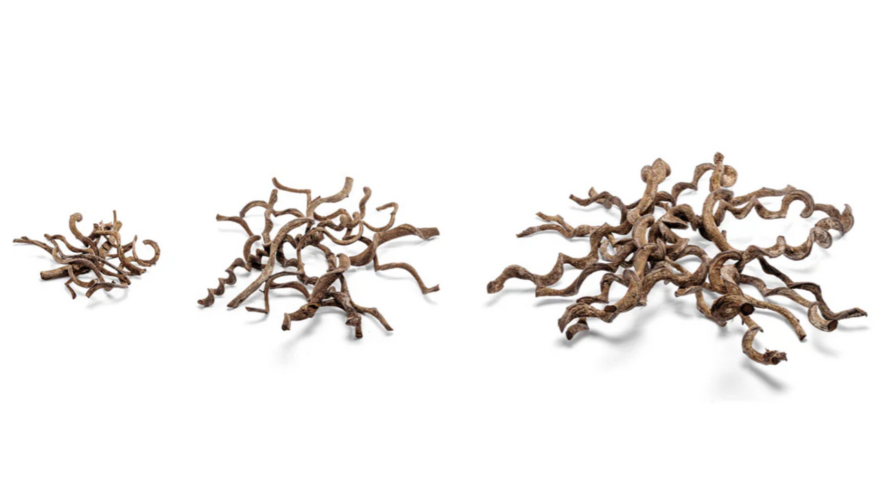 Jungle Vine Wood Medium