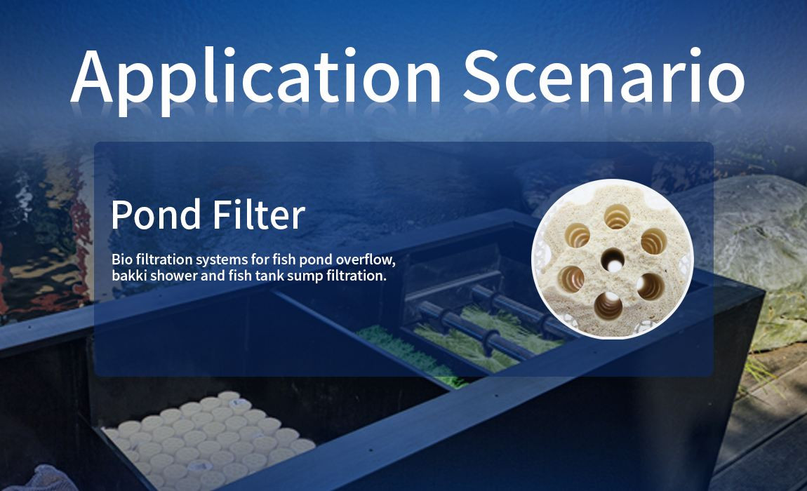 3rd Generation Lotus Root Bacteria House for Fresh Water (12 each)