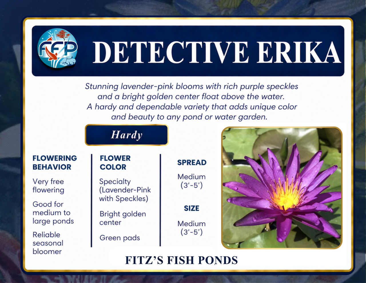 Hardy Lily - DETECTIVE ERIKA