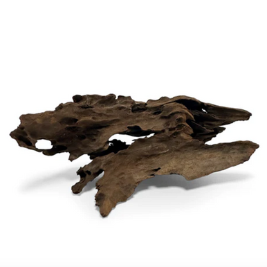Malaysian Driftwood Mini