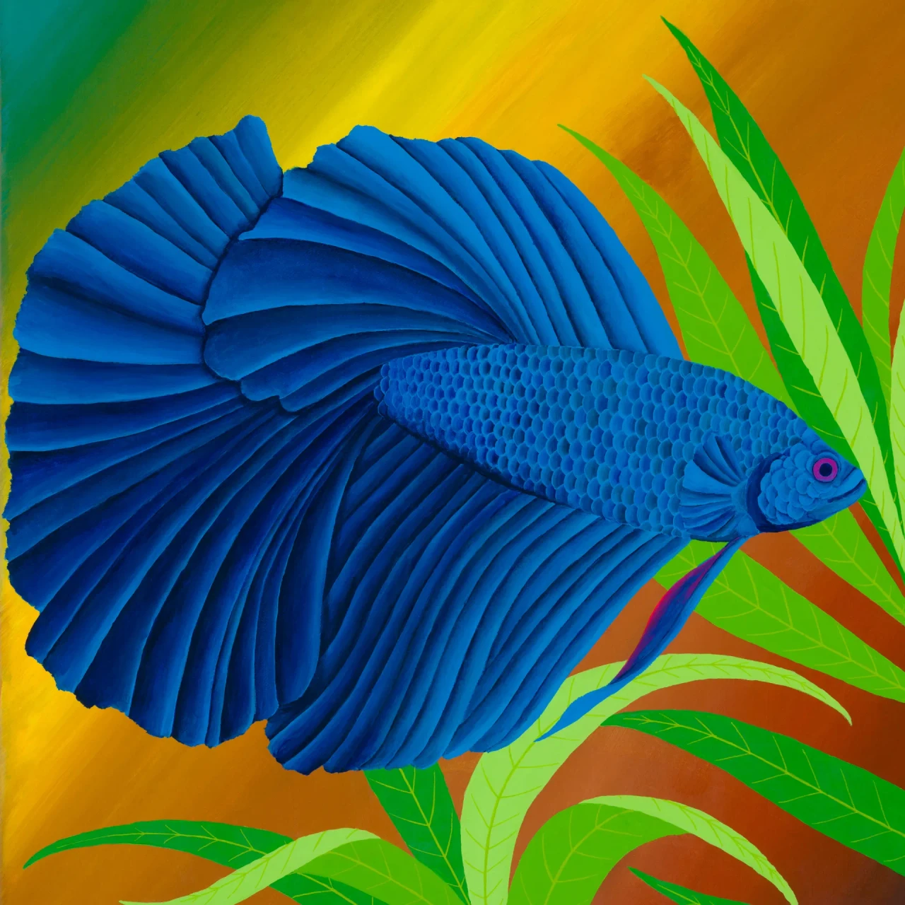 Betta in Blue - Print