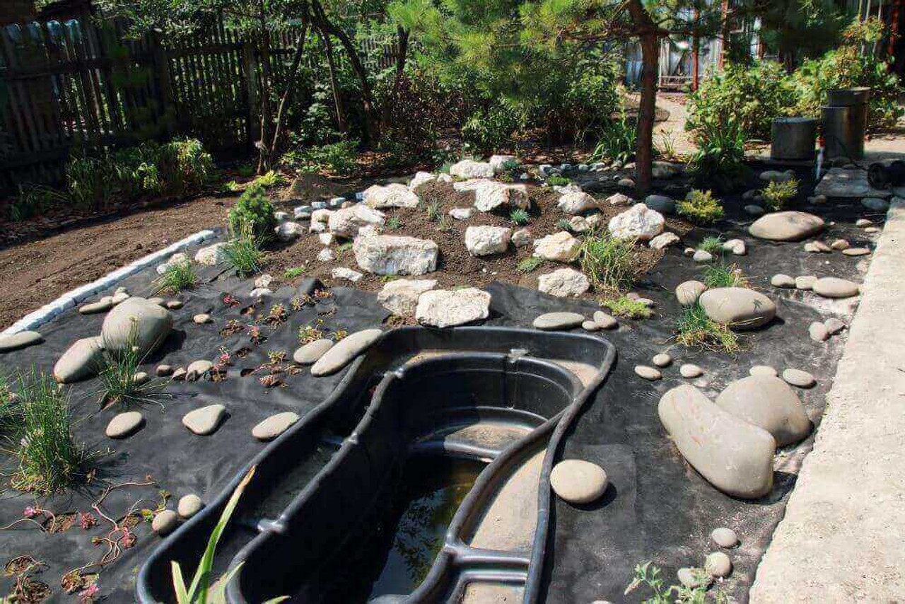 A Step-By-Step Guide On Building A Pond