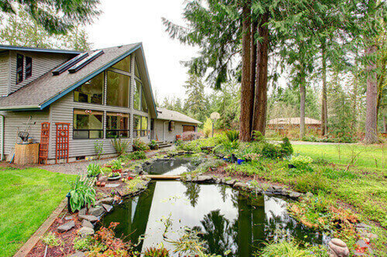 Above Ground Ponds vs. Below Ground Ponds