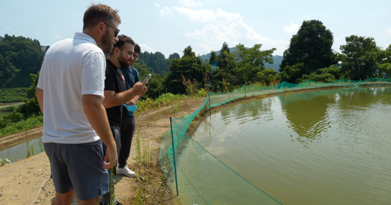 Behind the Curtains: Fitz’s Fish Ponds & Luke’s Goldies Explore Japan’s Secret Koi World