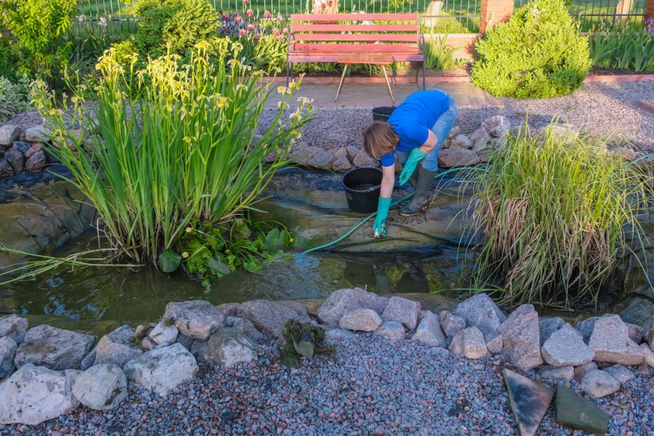 Don’t Neglect These Fall Pond Maintenance Tasks!