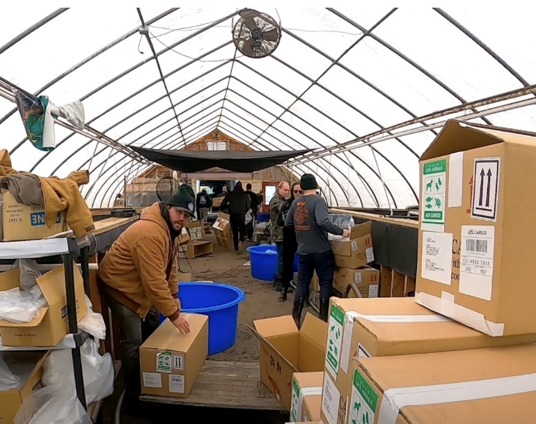 How to Transport Koi Fish: A Look Into How We Do It